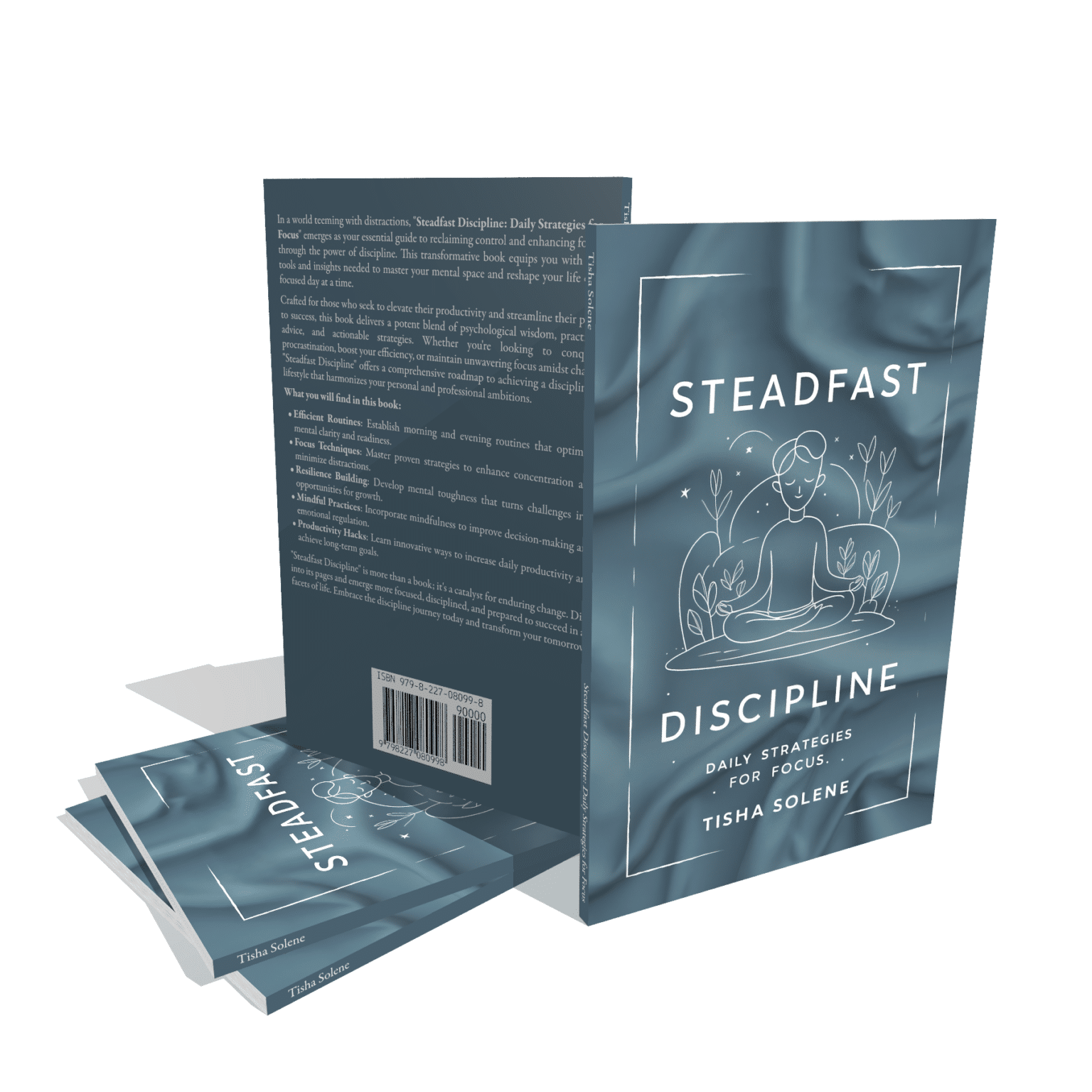 Steadfast Discipline: Daily Strategies for Focus Book Review