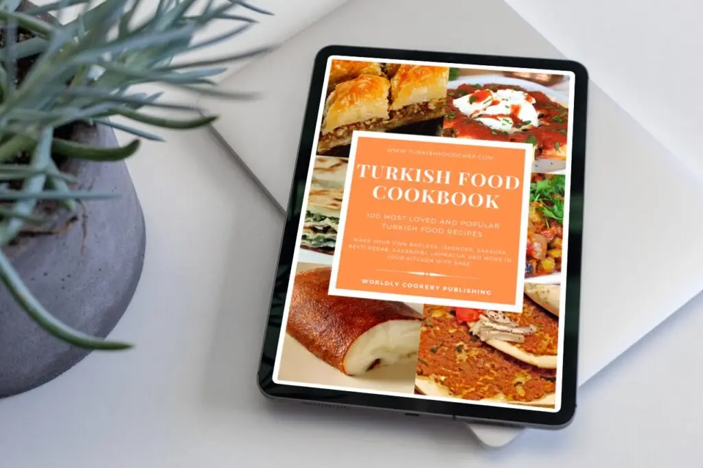 Turkish Food Cookbook: 100 Most Loved and Popular Turkish Food Recipes