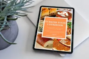 Turkish Food Cookbook: 100 Most Loved and Popular Turkish Food Recipes